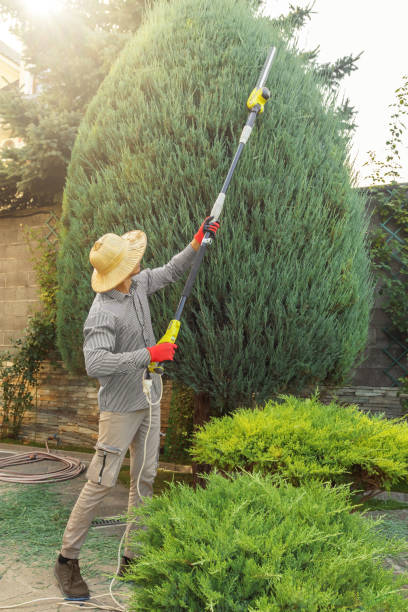 Best Tree Preservation Services  in Highland Falls, NY